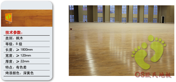 B級楓木體育運(yùn)動地板 B級楓木體育運(yùn)動地板