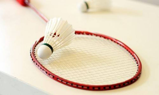 羽毛球館專用木地板 羽毛球館專用木地板