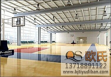 籃球木地板 籃球木地板