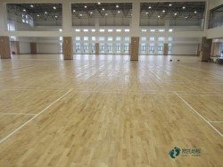 一般體育木地板施工隊