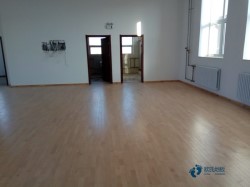 普通體育運動木地板施工方案