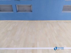 一般運動木地板施工隊