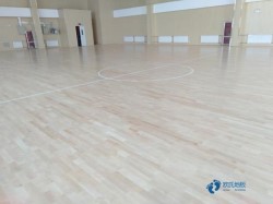 籃球運動木地板價格表