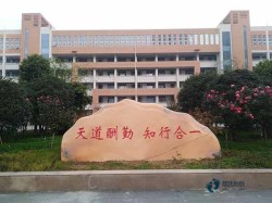 籃球場木地板的物理特性檢測些什么