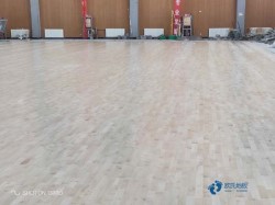 松木舞臺運(yùn)動體育木地板哪個牌子比較好