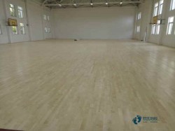 籃球場館地面鋪裝類型全在這兒