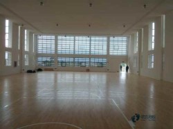 定做籃球運(yùn)動(dòng)地板品牌大全