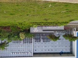 25厚運(yùn)動(dòng)體育木地板品牌大全